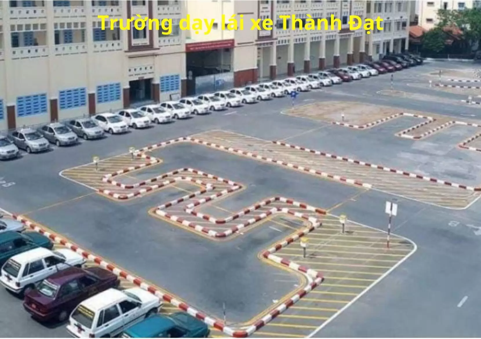 Trường dạy lái xe Thành Đạt - Trung tâm đào tạo lái xe uy tín ở TPHCM