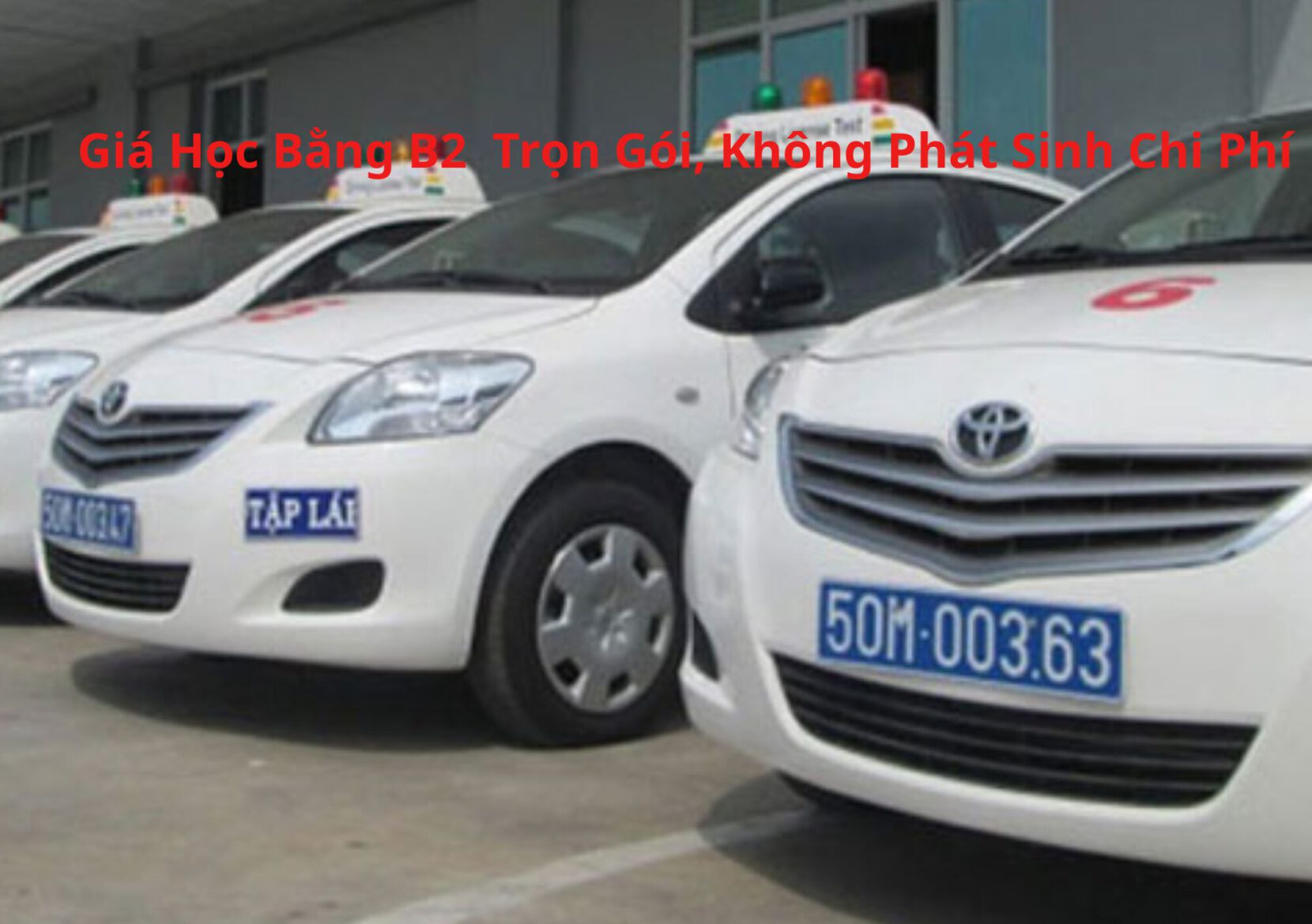 Giá Học Bằng B2