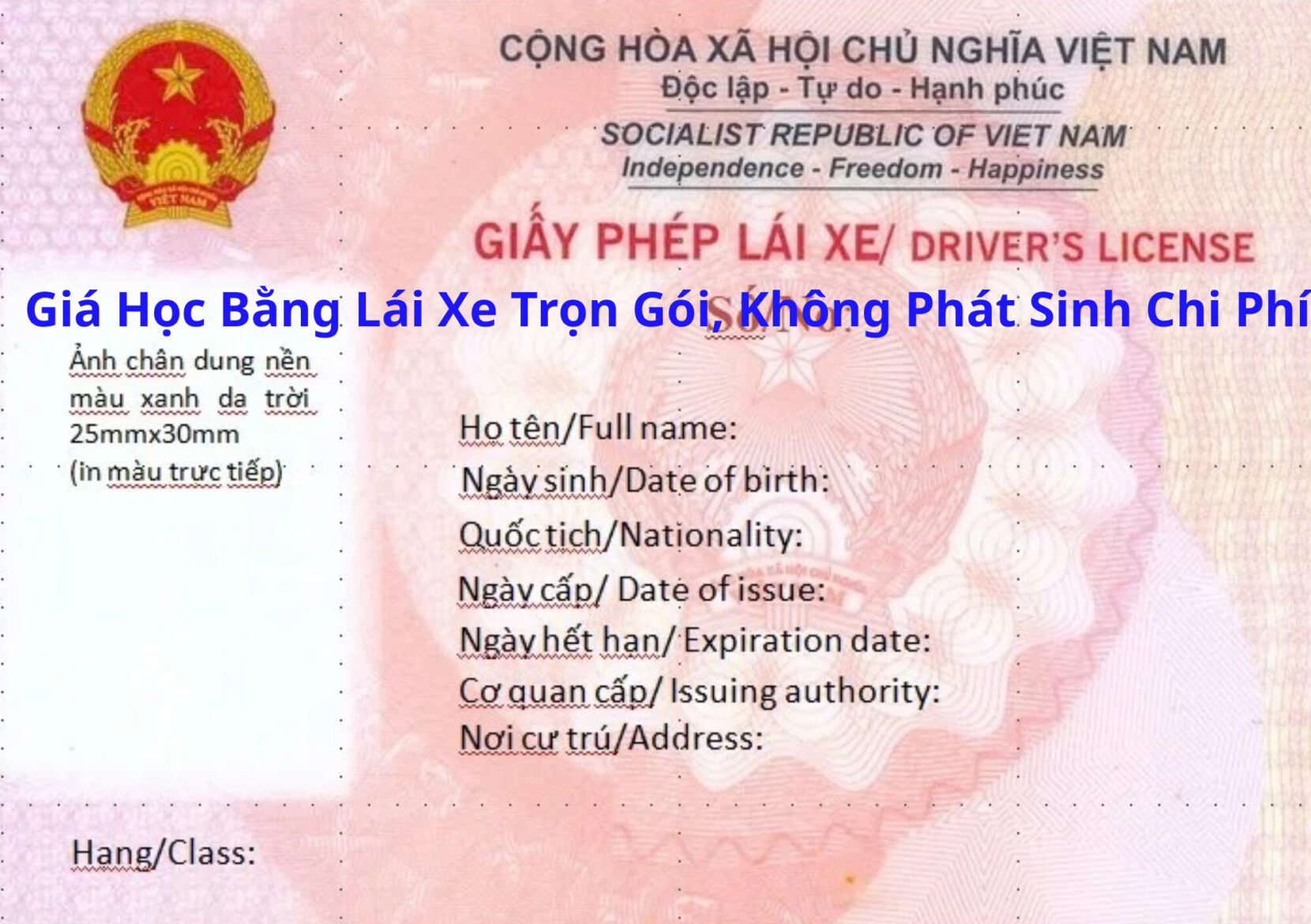 Giá Học Bằng Lái Xe