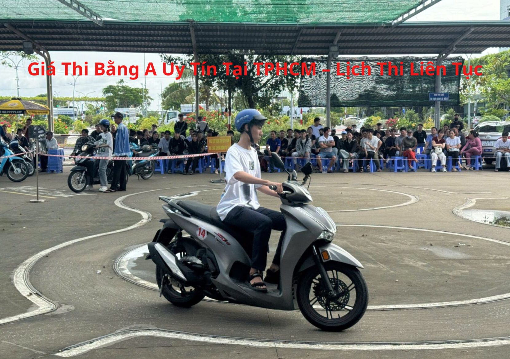 Giá Thi Bằng A