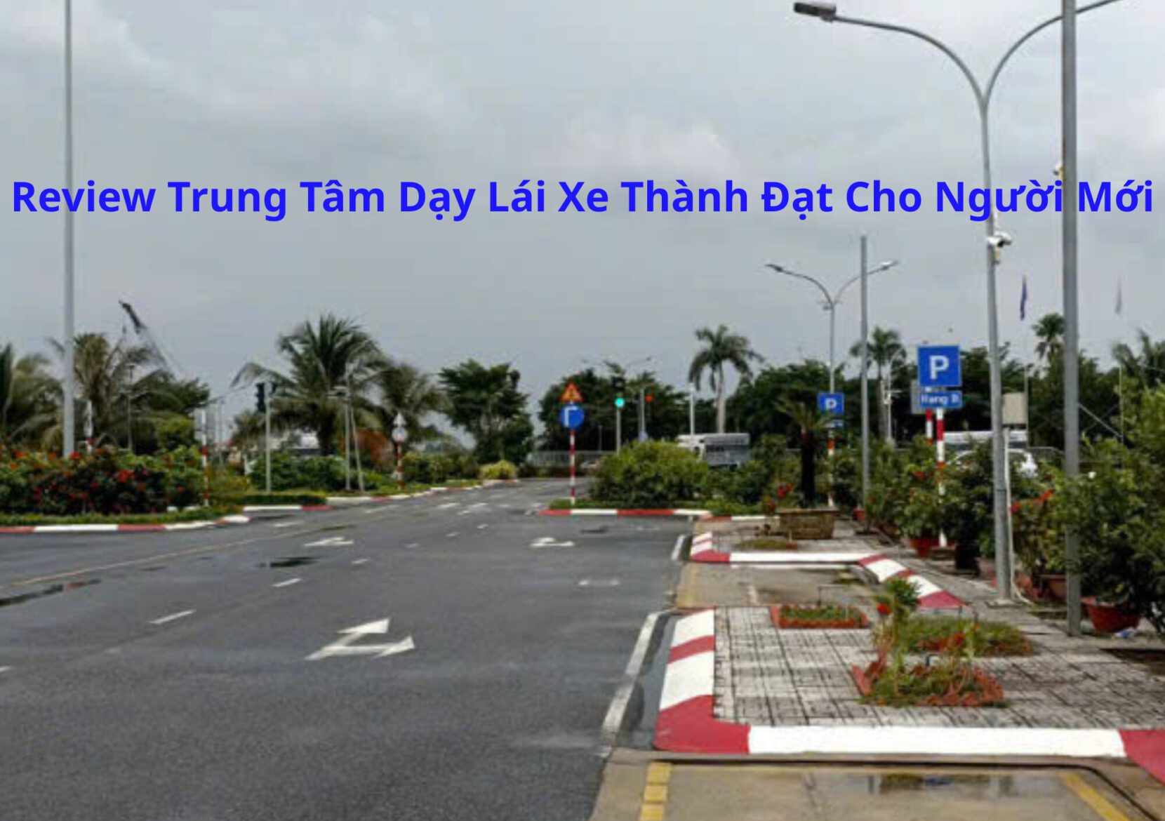 Review Trung Tâm Dạy Lái Xe Thành Đạt