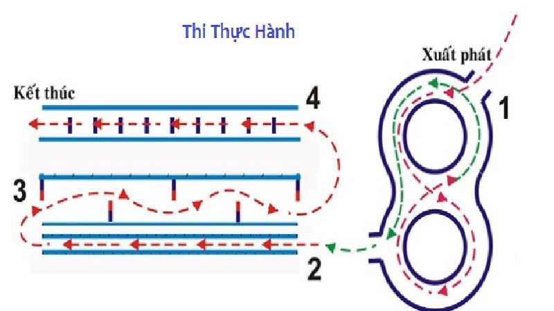 Thi Thực Hành Xe Máy-Chi Phí Học Bằng Lái Xe Máy