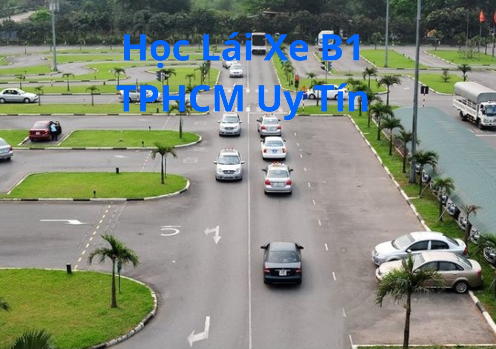 học Bằng Lái Xe B1 TPHCM