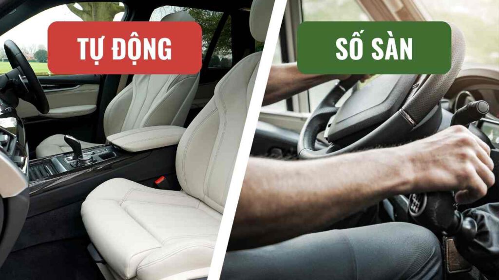 Nên Học Số Tự Động Hay Số Sàn-Chi Phí Học Bằng B Tự Động