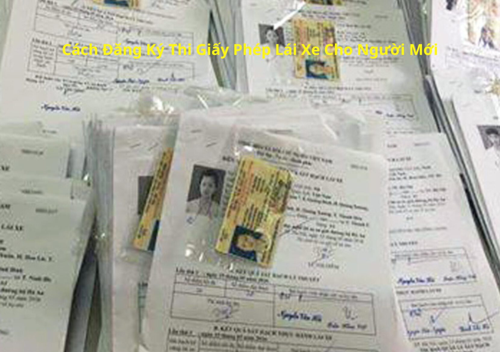 Cách Đăng Ký Thi Giấy Phép Lái Xe